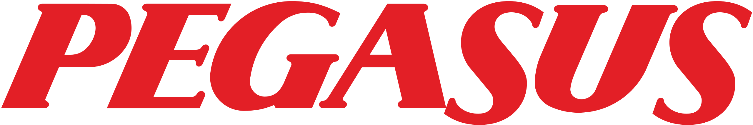 Pegasus Airlines Logo